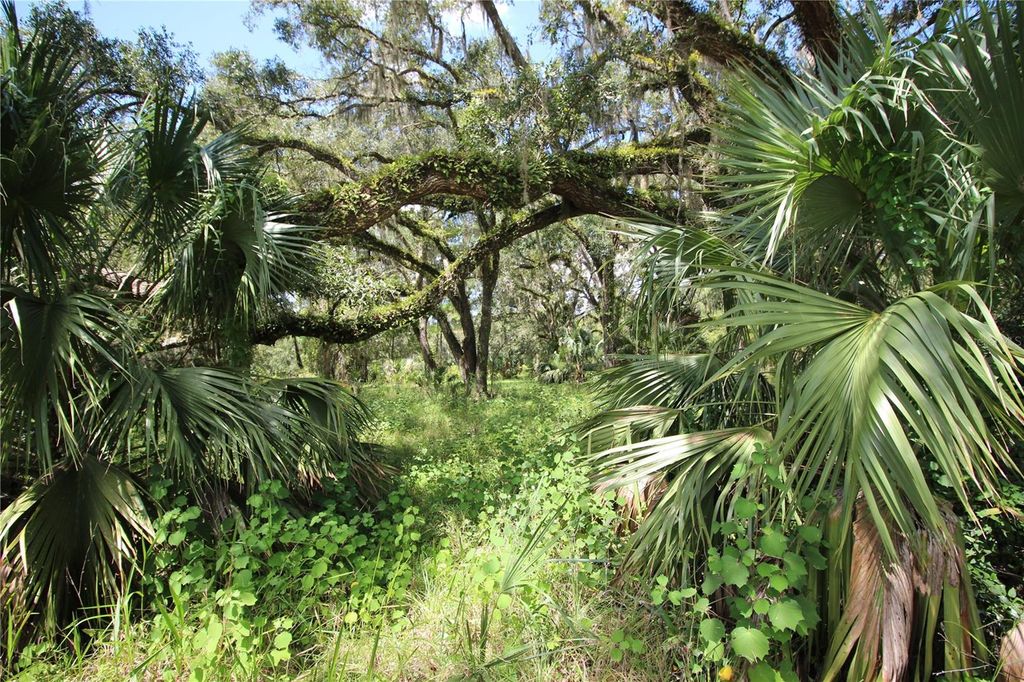 Photo of 7730 SE 3rd Terrace, Inglis, FL 34449 (MLS # OM711086)