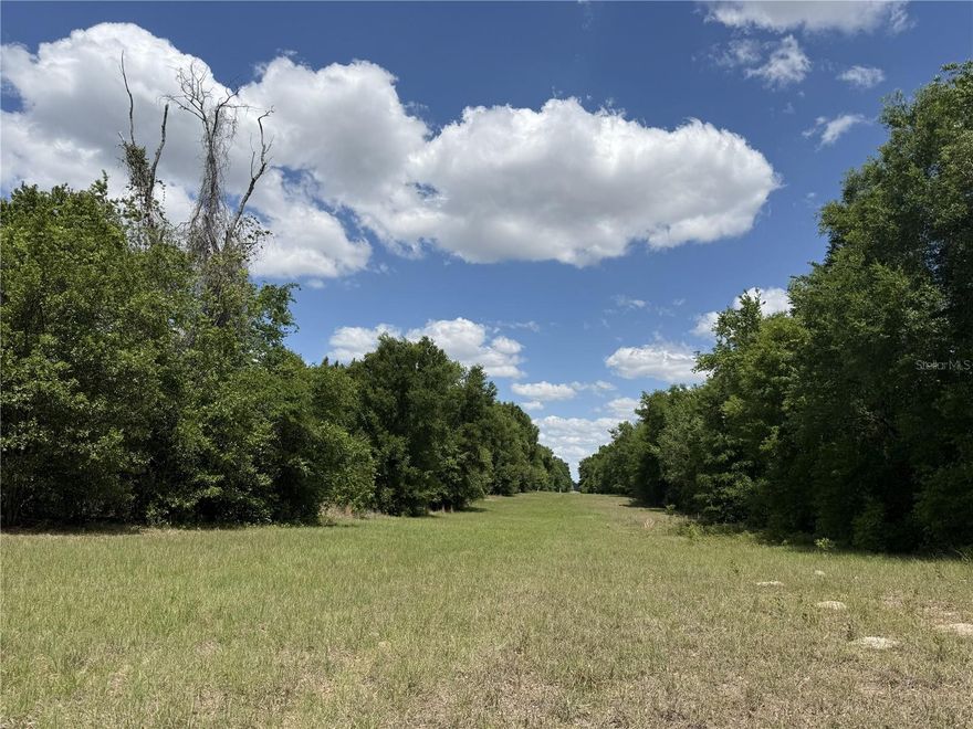 Experience the charm of North Central Florida with this versatile 16.32-acre rectangular parcel situated on NW 140th Street in Chiefland! This sprawling gated and partially fenced property offers a strategic blend of immediate utility and long-term potential, with paved road frontage providing reliable year-round access and electrical service available nearby. Four acres are raw, undeveloped land, providing an ideal footprint for a large-scale estate home, a sustainable homestead, or a hobby farm. The remaining 12 acres are populated with thriving 7-year-old pines and developed timber that create a natural wall of greenery and a true sense of secluded wilderness. A large, gated pipeline station is located near the entrance and a pipeline easement is located near the back of the property. While you can enjoy the tranquility of the countryside, modern conveniences are just a short trip away. The paved road leads directly into the heart of Chiefland for easy shopping at the Walmart Supercenter or a meal at local favorites like The Garden Patch. Outdoor enthusiasts will also appreciate being just 10 minutes from the crystal-clear waters of Manatee Springs State Park and the historic Suwannee River. Whether you are looking to establish a rural homestead or a private land holding, this property provides the space and flexibility to bring your vision to life!