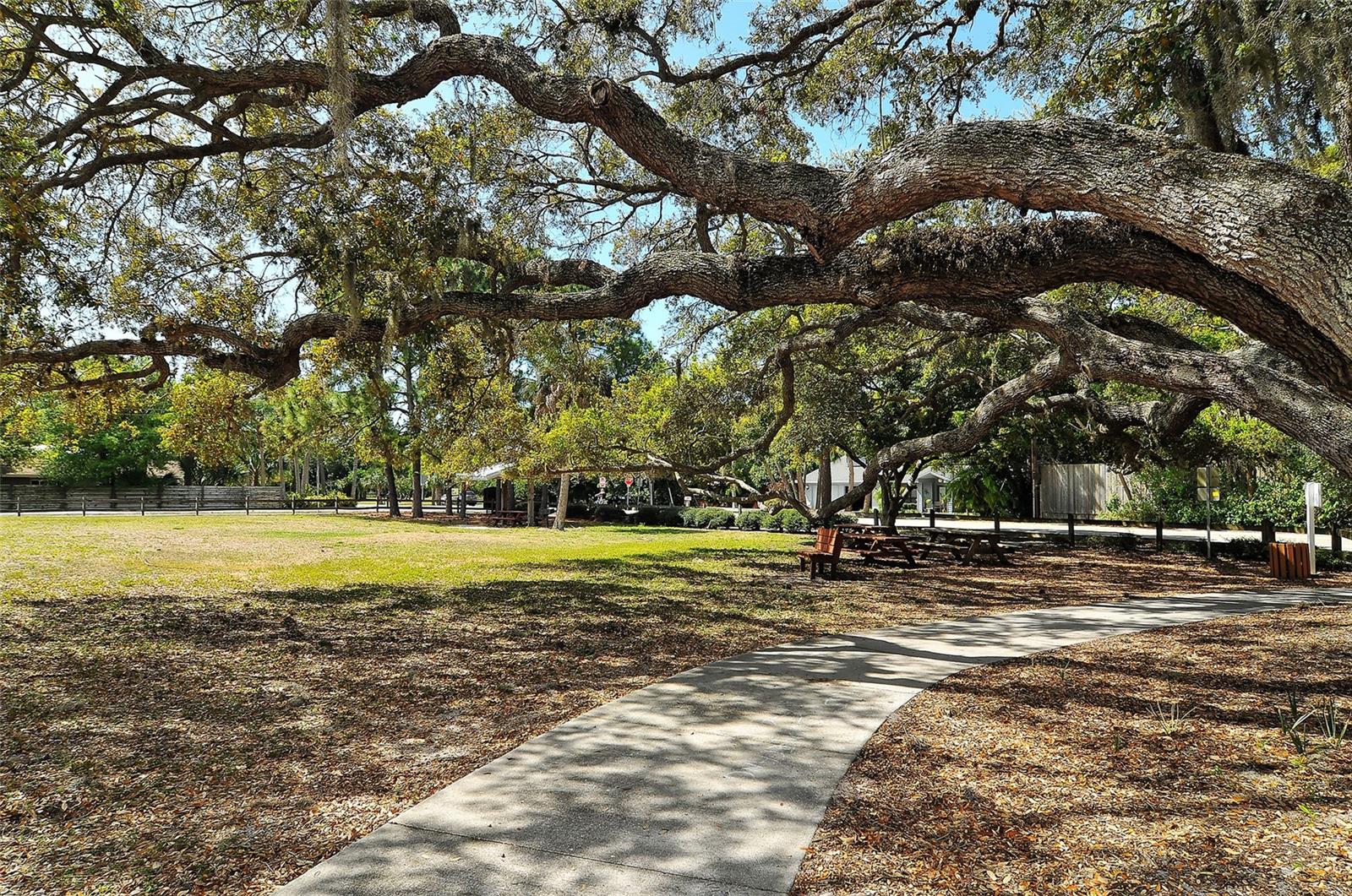 BENEVA PINES - Residential