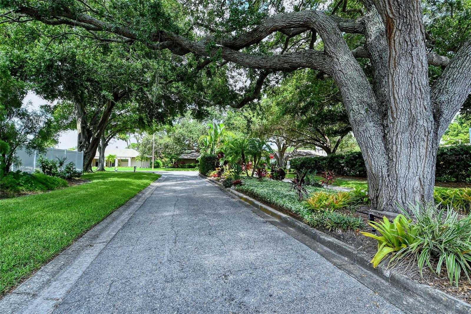 BENEVA PINES - Residential