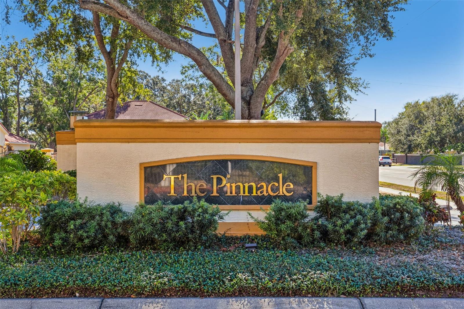 THE PINNACLE AT CARROLLWOOD A - Residential