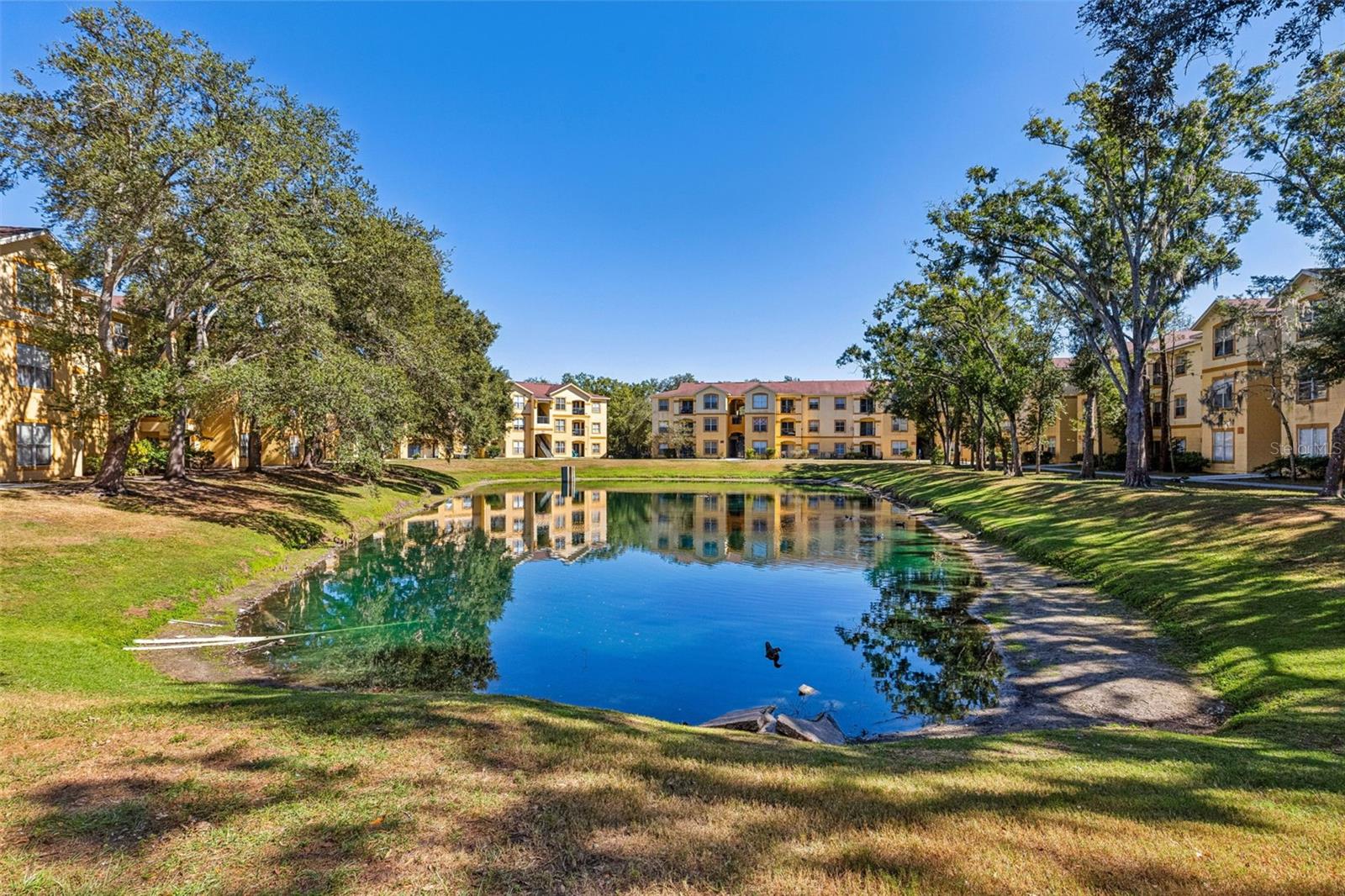 THE PINNACLE AT CARROLLWOOD A - Residential