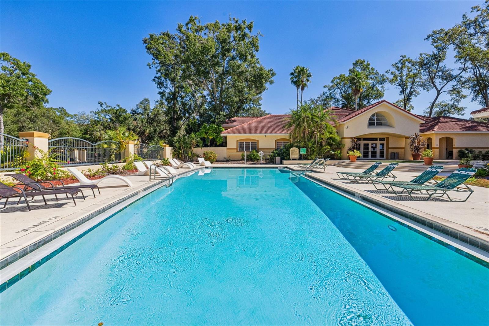 THE PINNACLE AT CARROLLWOOD A - Residential