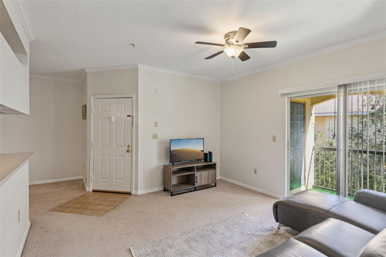 THE PINNACLE AT CARROLLWOOD A - Residential