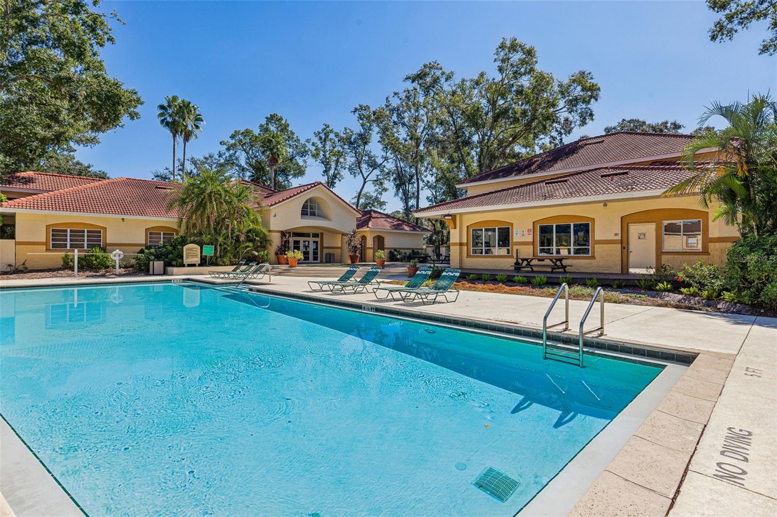 THE PINNACLE AT CARROLLWOOD A - Residential