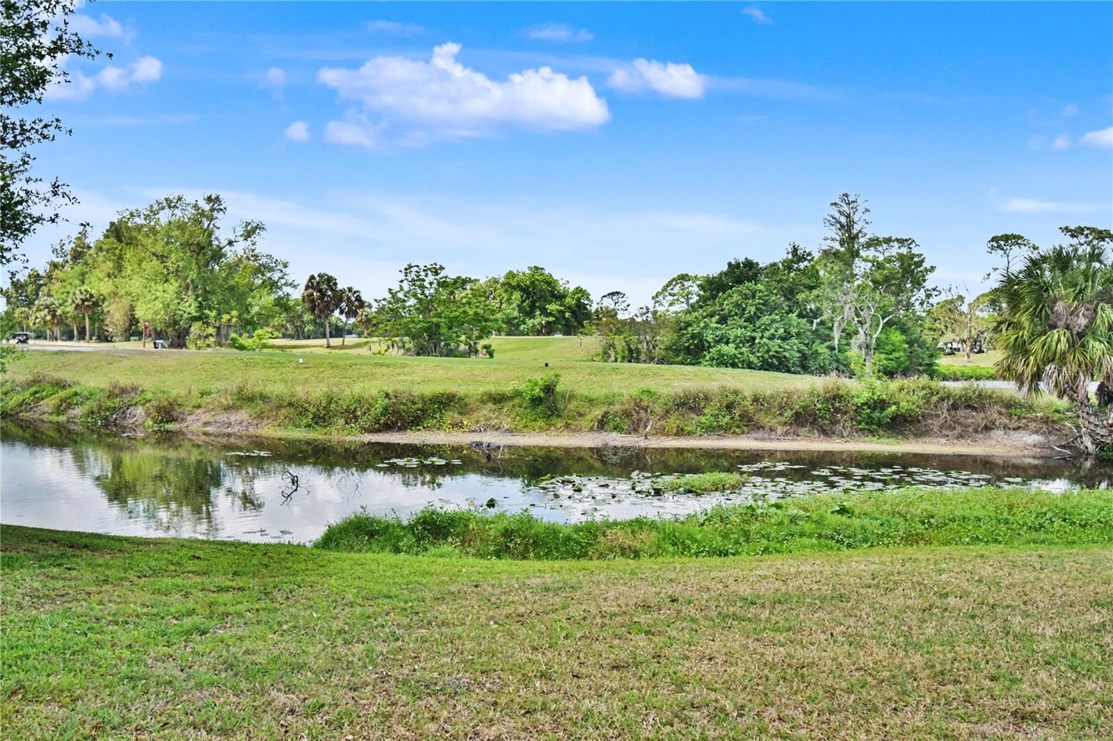 BENT TREE VILLAGE - Residential