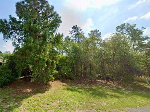 8039 N CREEK WAY CITRUS SPRINGS FL 34434