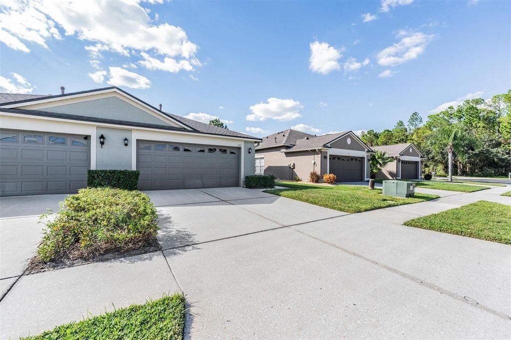 Photo of 1123 Wright Swynde Court, Wesley Chapel, FL 33543 (MLS # TB8441574)