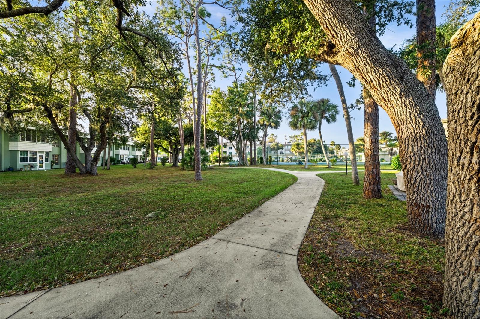 CAMBRIDGE HOUSE - Residential