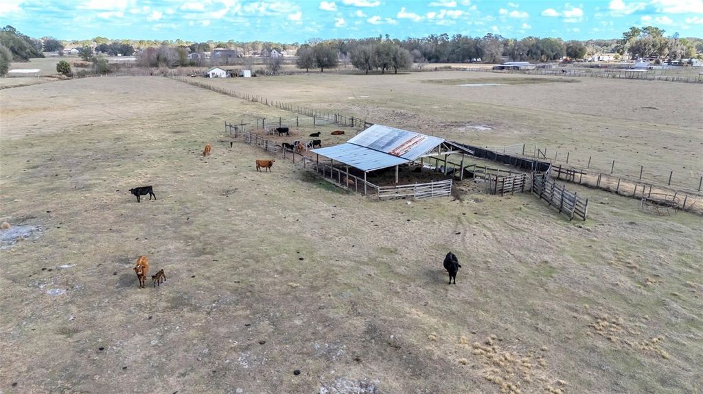 Photo of 4025 W Bella Vista Street, Lakeland, FL 33810 (MLS # L4959626)