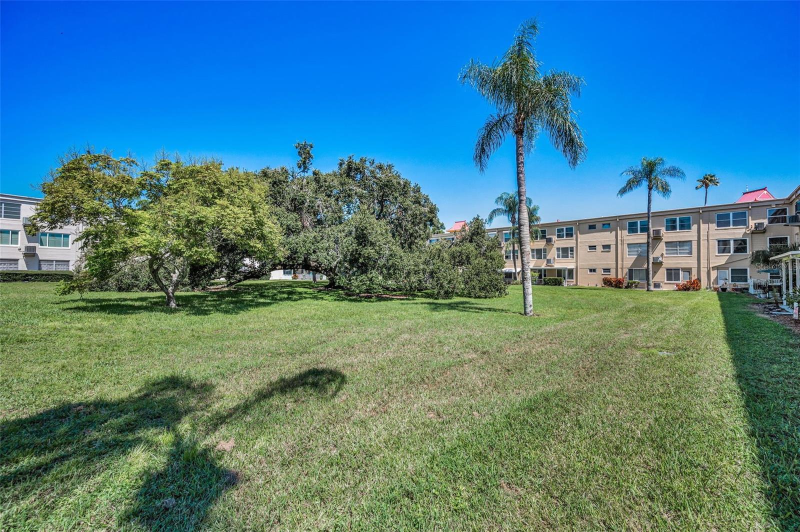 ON TOP OF THE WORLD - Residential