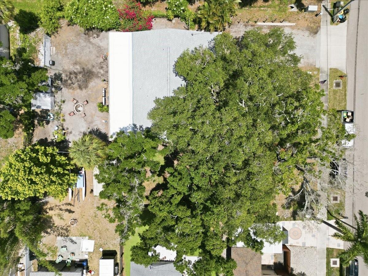 PINELLAS PARK - Residential