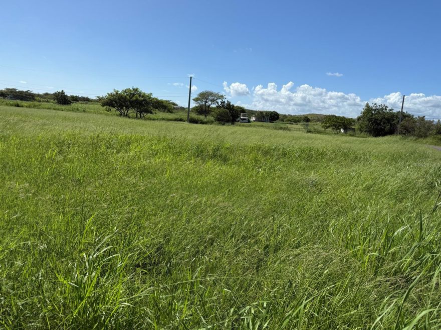 Discover this excellent 1.02 acres of land, located in Barrio Jueyes, Cayure Sector of Santa Isabel, an area that combines rural charm with the convenience of having everything close by.
This property has electricity connection and a deep well for water supply, providing a significant advantage to start any residential or development project.
Its strategic location, just minutes from shopping centers and with easy access to the PR-52 Highway (Expreso Luis A. Ferré), makes it an excellent option for both investors and those who want to build the residence of their dreams in a quiet and natural environment.
Enjoy beautiful views and the peaceful atmosphere that characterizes the south of the island, ideal for those looking to invest or live in a private space, surrounded by nature and good accessibility.