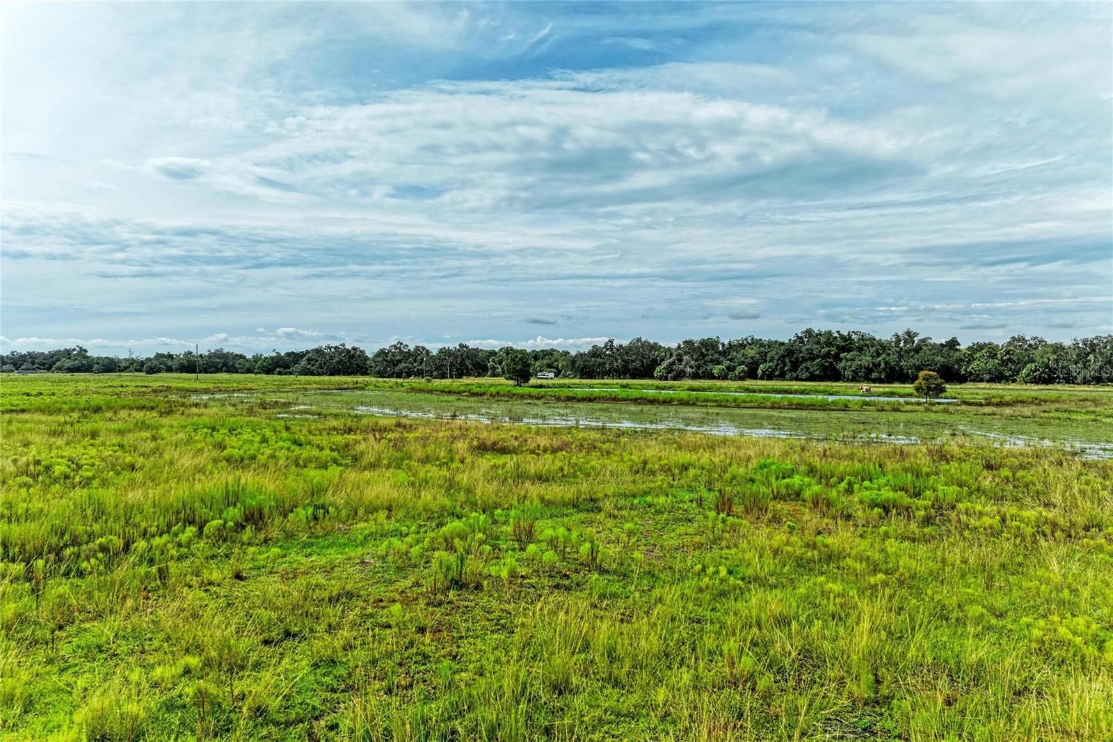 COKER GULLY ROAD, MYAKKA CITY, FL, 34251 2 COKER GULLY ROAD