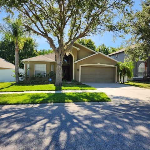 A home in LAND O LAKES