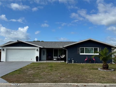 Photo of 10335 Loquat Drive, Port Richey, FL 34668 (MLS # W7882141)