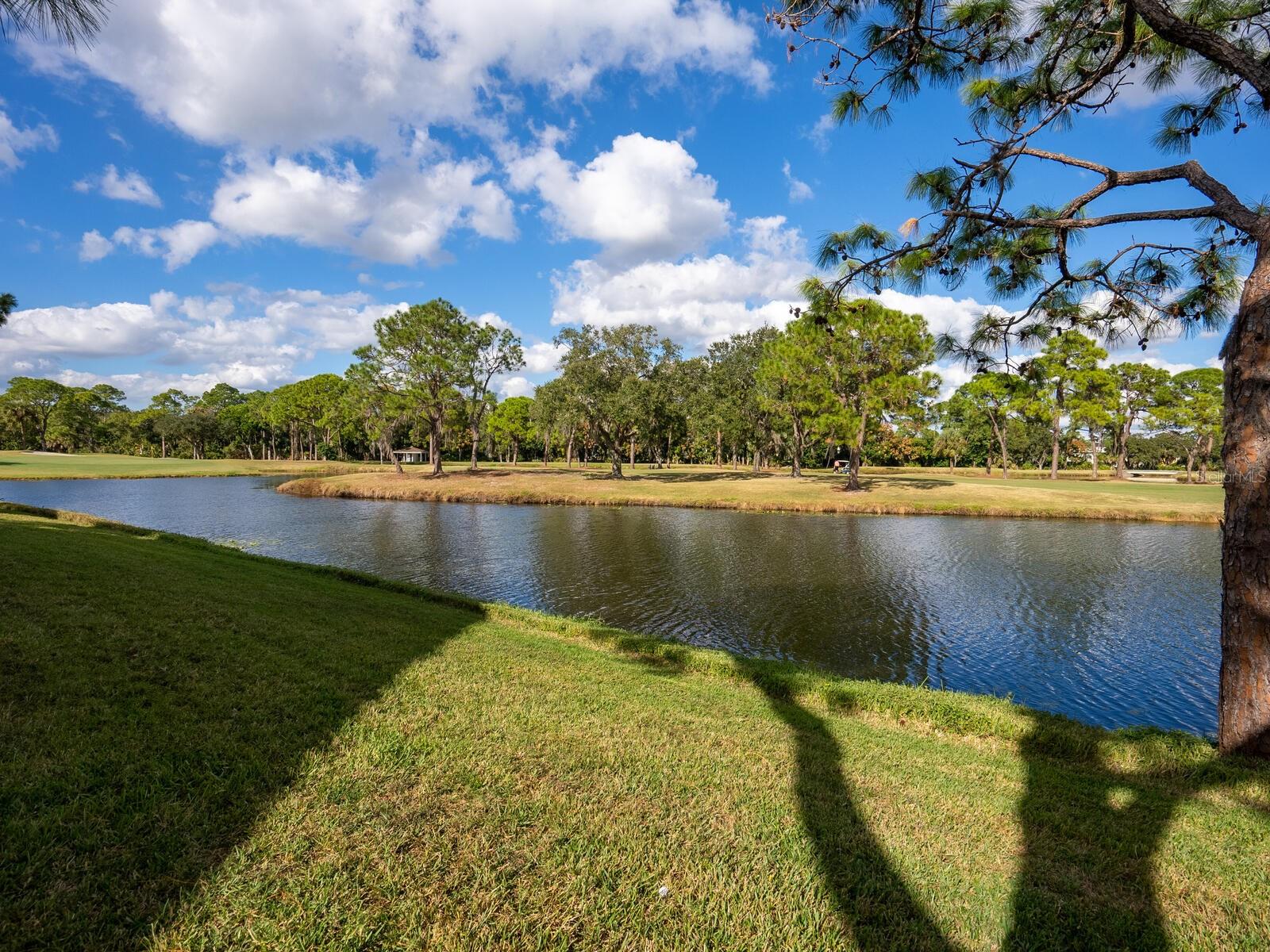 WEYBRIDGE - Residential