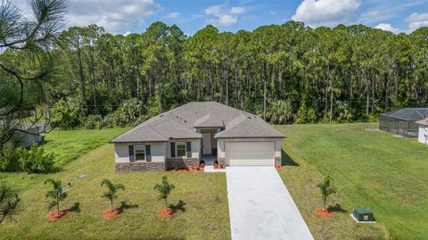 A home in PALM BAY