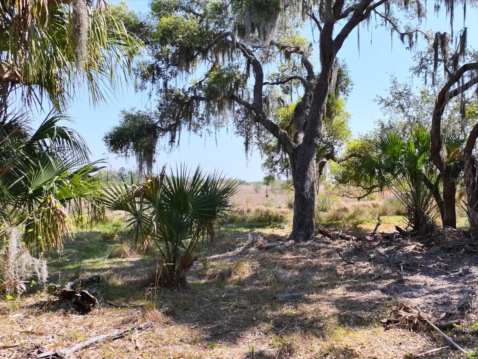 HORIZON EQUESTRIAN ESTATES - Land