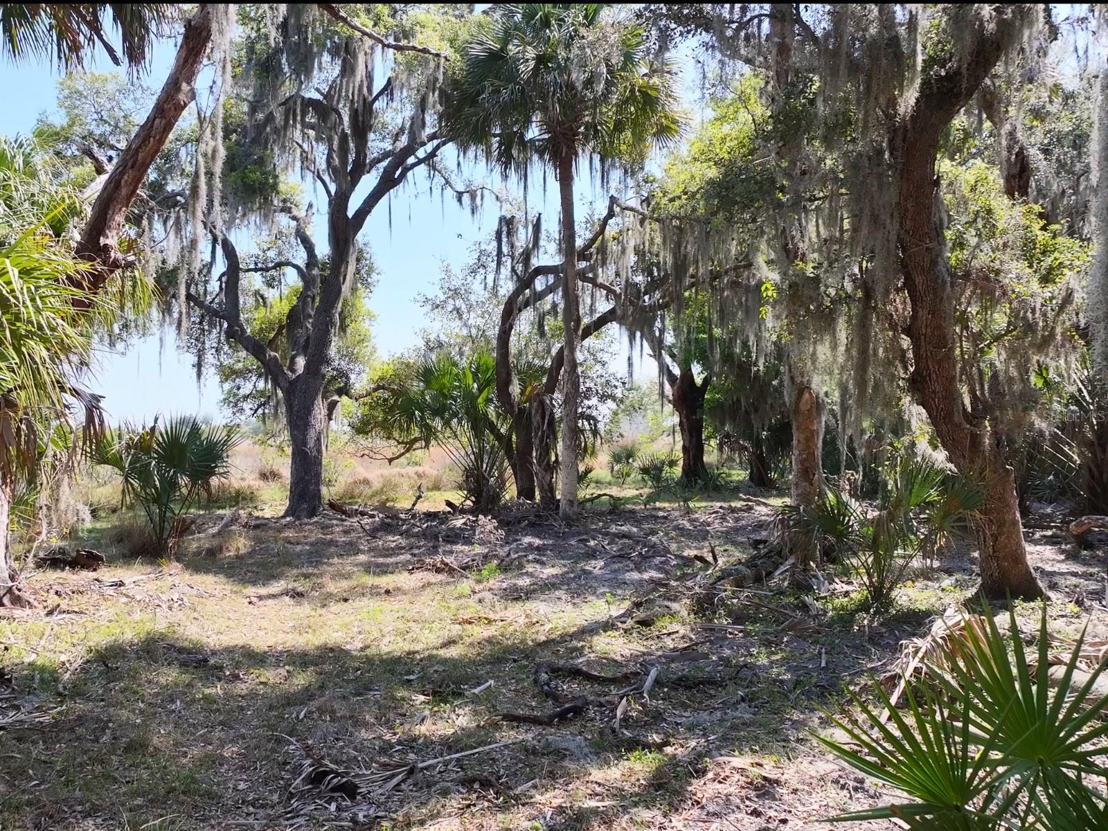 HORIZON EQUESTRIAN ESTATES - Land