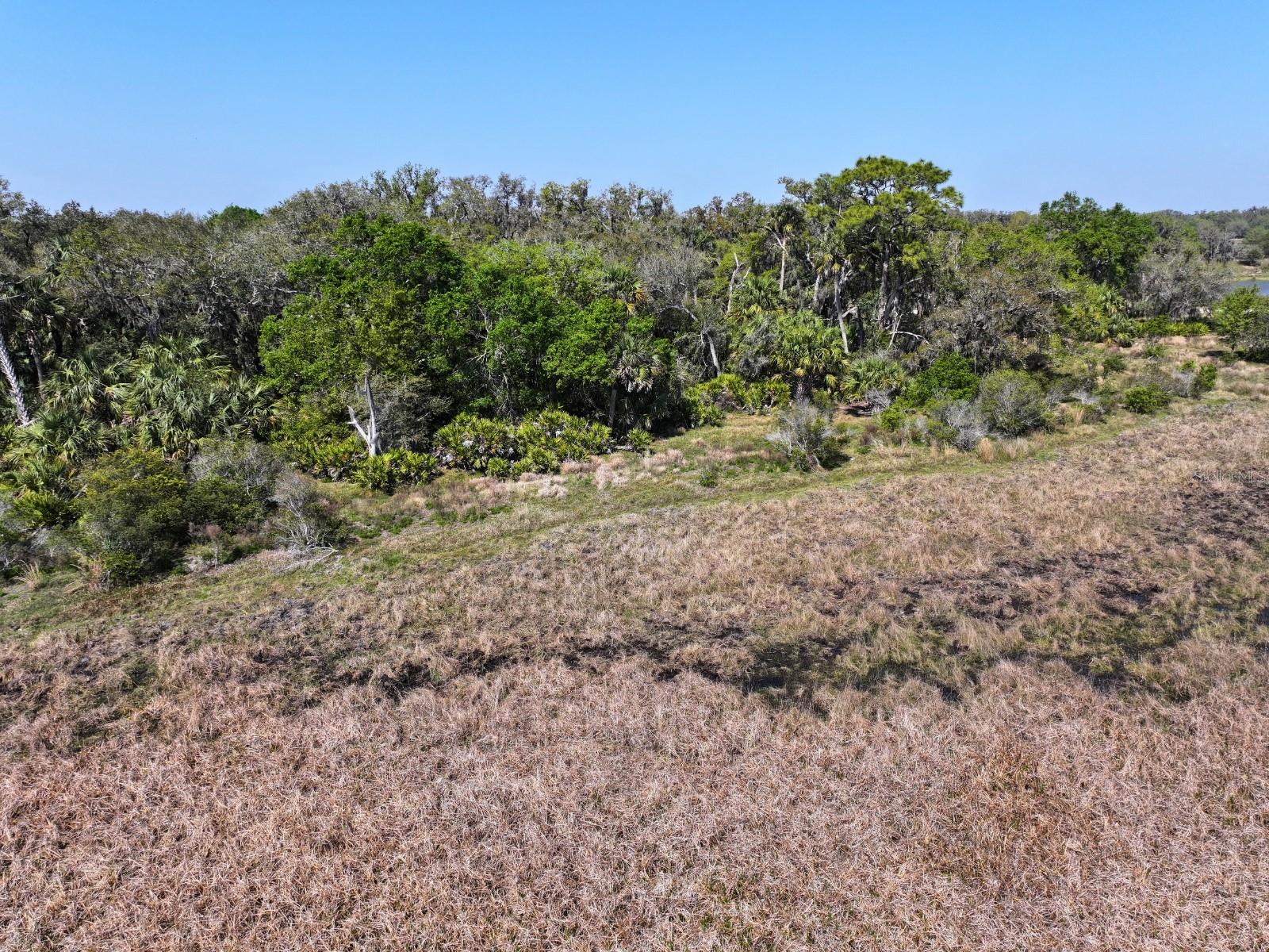 HORIZON EQUESTRIAN ESTATES - Land