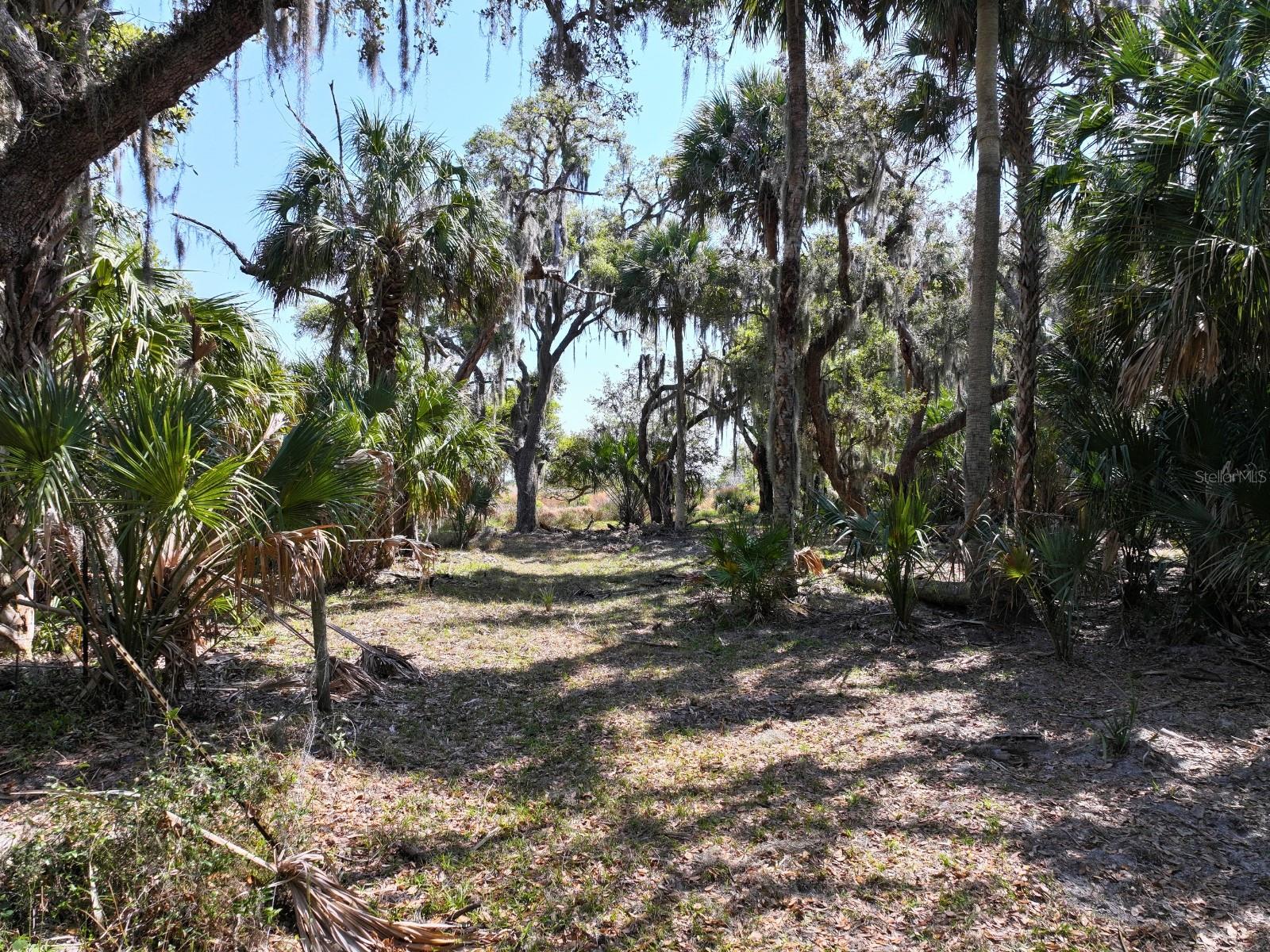 HORIZON EQUESTRIAN ESTATES - Land