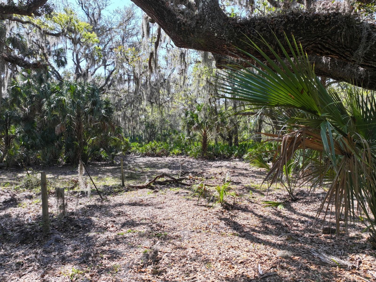 HORIZON EQUESTRIAN ESTATES - Land