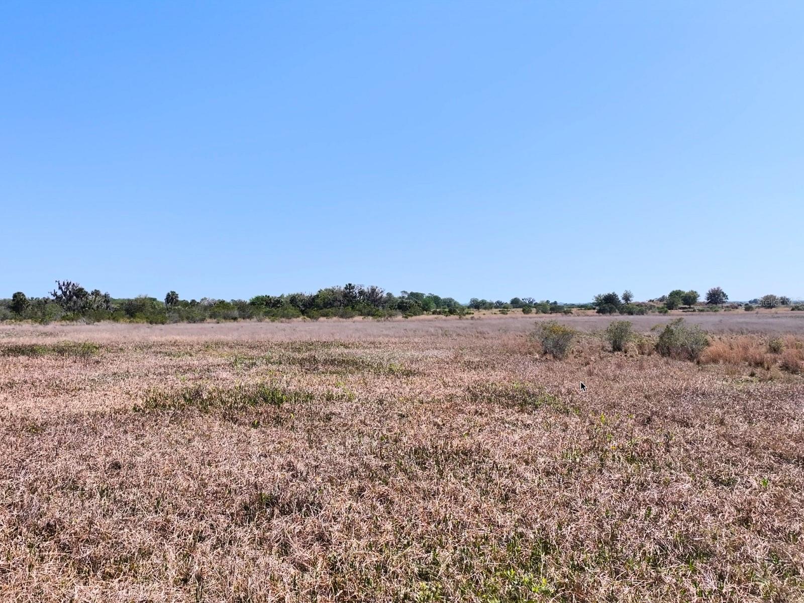 HORIZON EQUESTRIAN ESTATES - Land