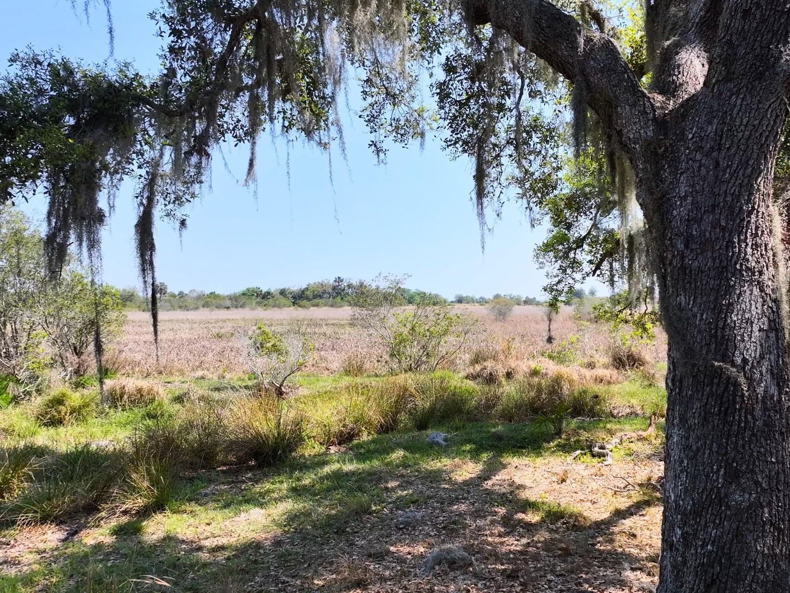 HORIZON EQUESTRIAN ESTATES - Land