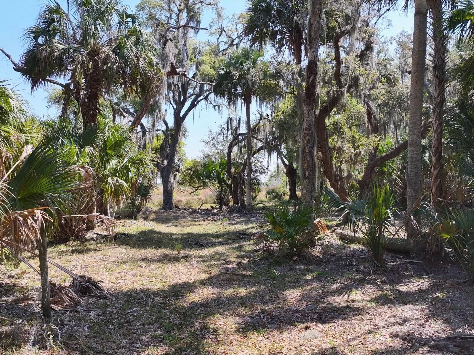 HORIZON EQUESTRIAN ESTATES - Land