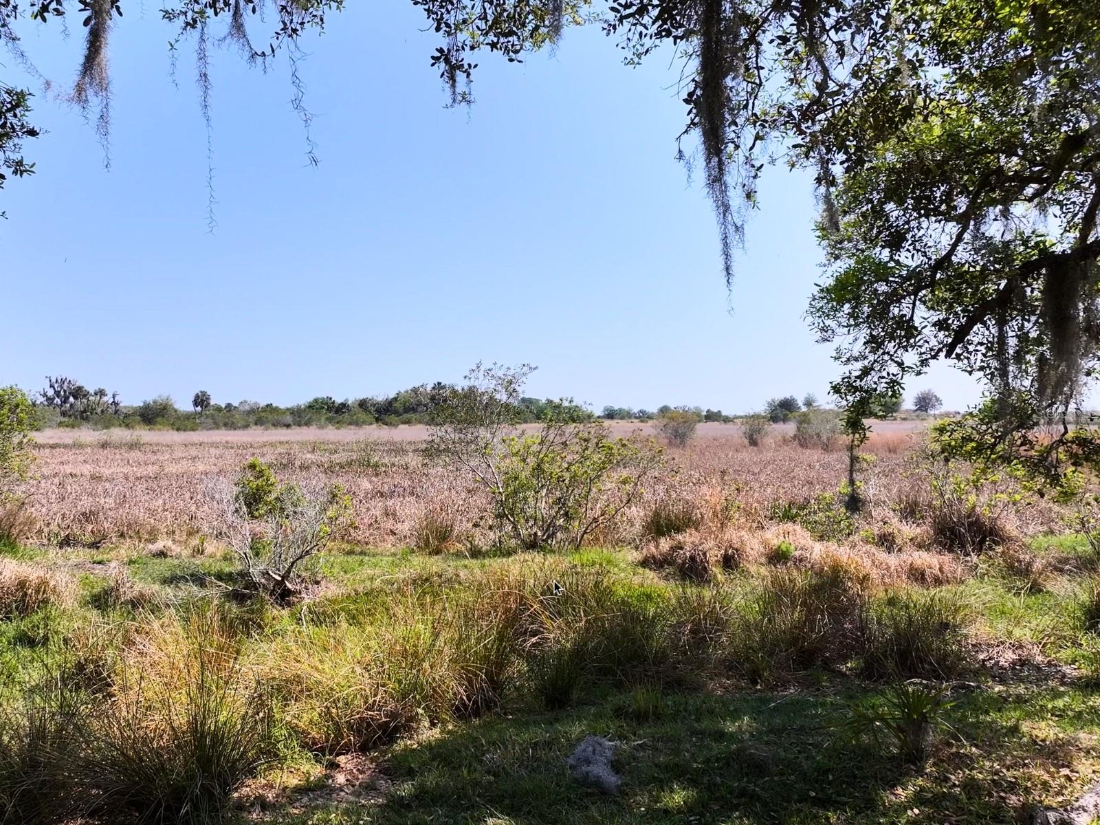 HORIZON EQUESTRIAN ESTATES - Land