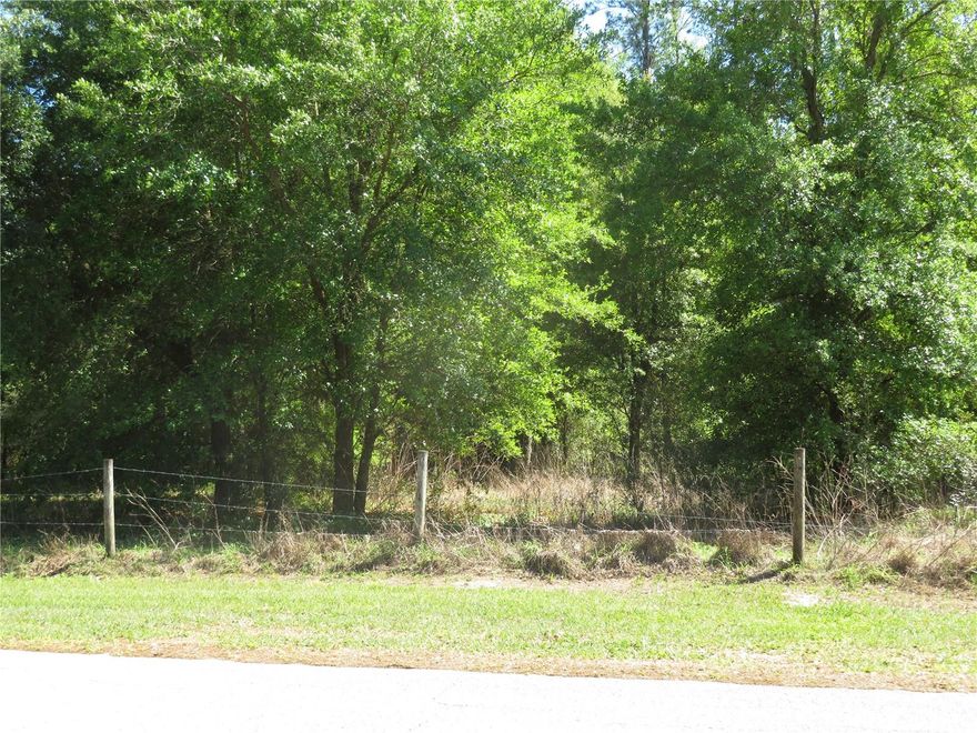 Located in the city of San Antonio this beautiful .52 wooded lot is ready for you to  bring  your builder and build your dream home on. No HOA fees, zoned R2, city water, paved street. Easy walk to South of San Antonio merchants and restaurants. Easy access to SR 52 and I-75. Reduced impact fee because of city of San Antonio.