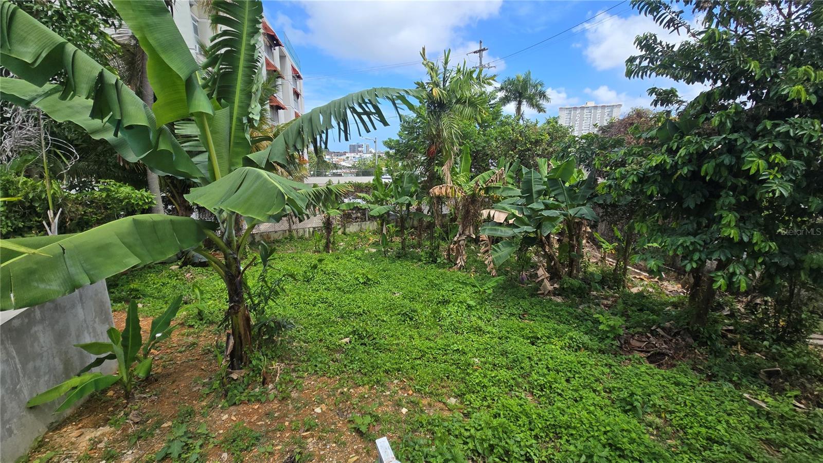 URBANIZACION SAN AGUSTIN - Residential