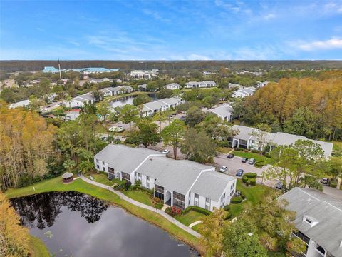 A home in TARPON SPRINGS