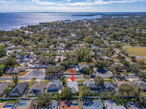 A home in SAFETY HARBOR