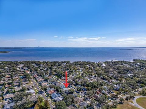 A home in SAFETY HARBOR