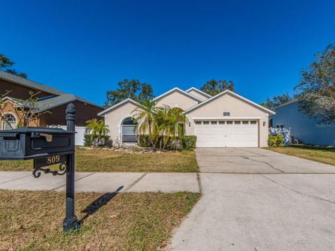 A home in SAFETY HARBOR