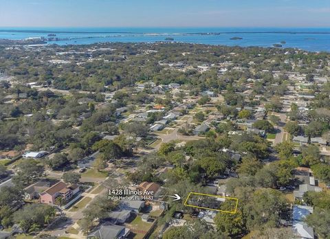 A home in PALM HARBOR