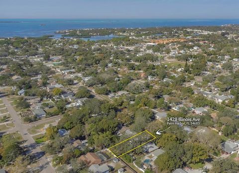 A home in PALM HARBOR