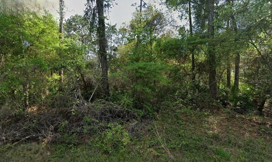 Vacant residential land consisting of approximately 3.05 acres located in the Crescent Shores Heights subdivision in Crescent City, FL. The property is unimproved and not currently accessible. This parcel includes a portion of the former Stardust Blvd right-of-way that was vacated by the county. An opportunity for investors seeking a long-term land hold or future development potential in a growing area of Putnam County. All information is deemed reliable but should be independently verified.