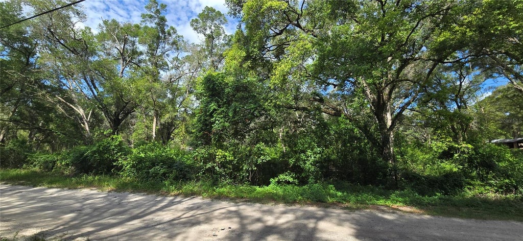 Photo of 15621 Daybreeze Drive, Spring Hill, FL 34610 (MLS # W7886771)