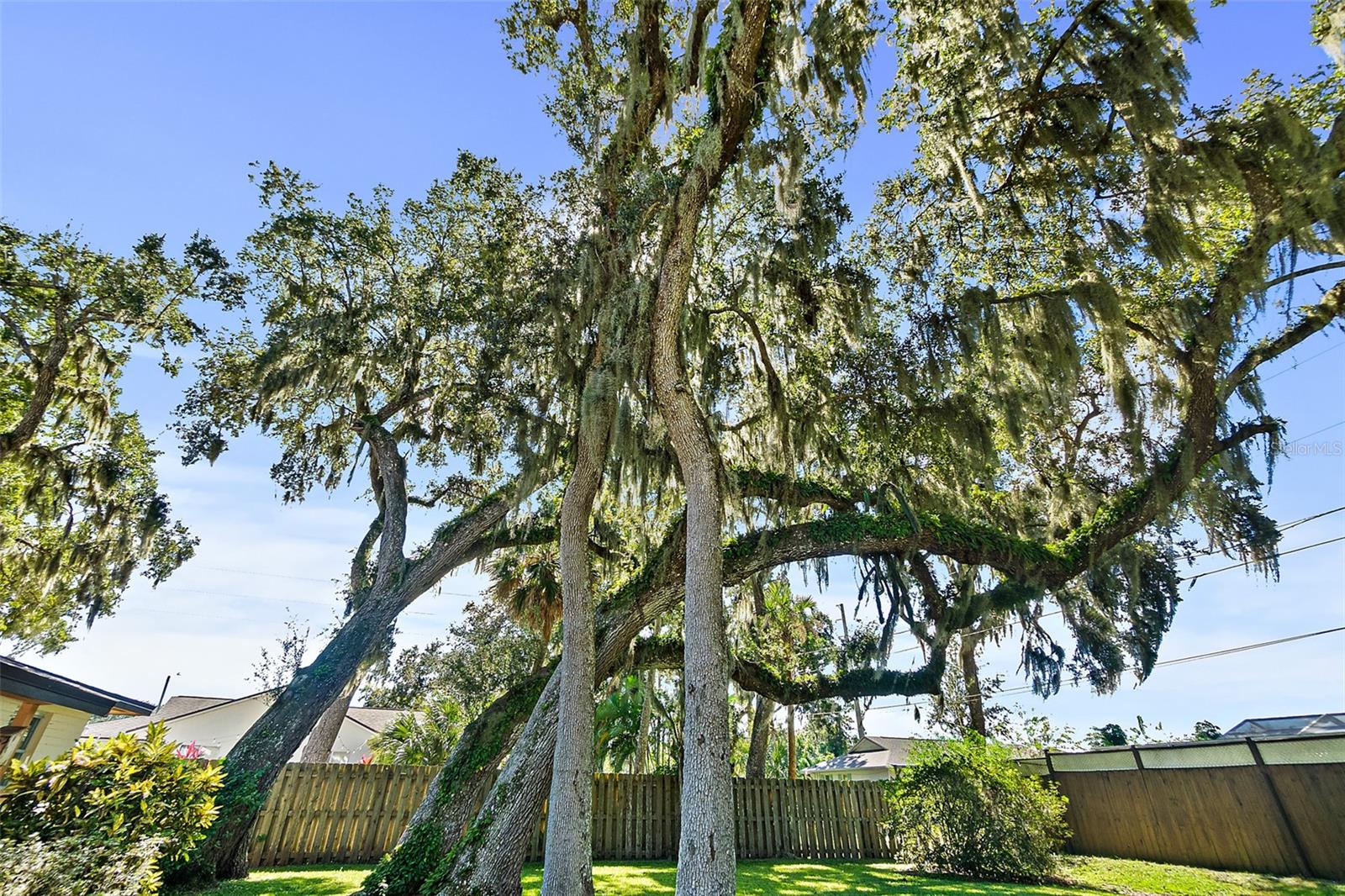 FLORIDA SHORES - Residential