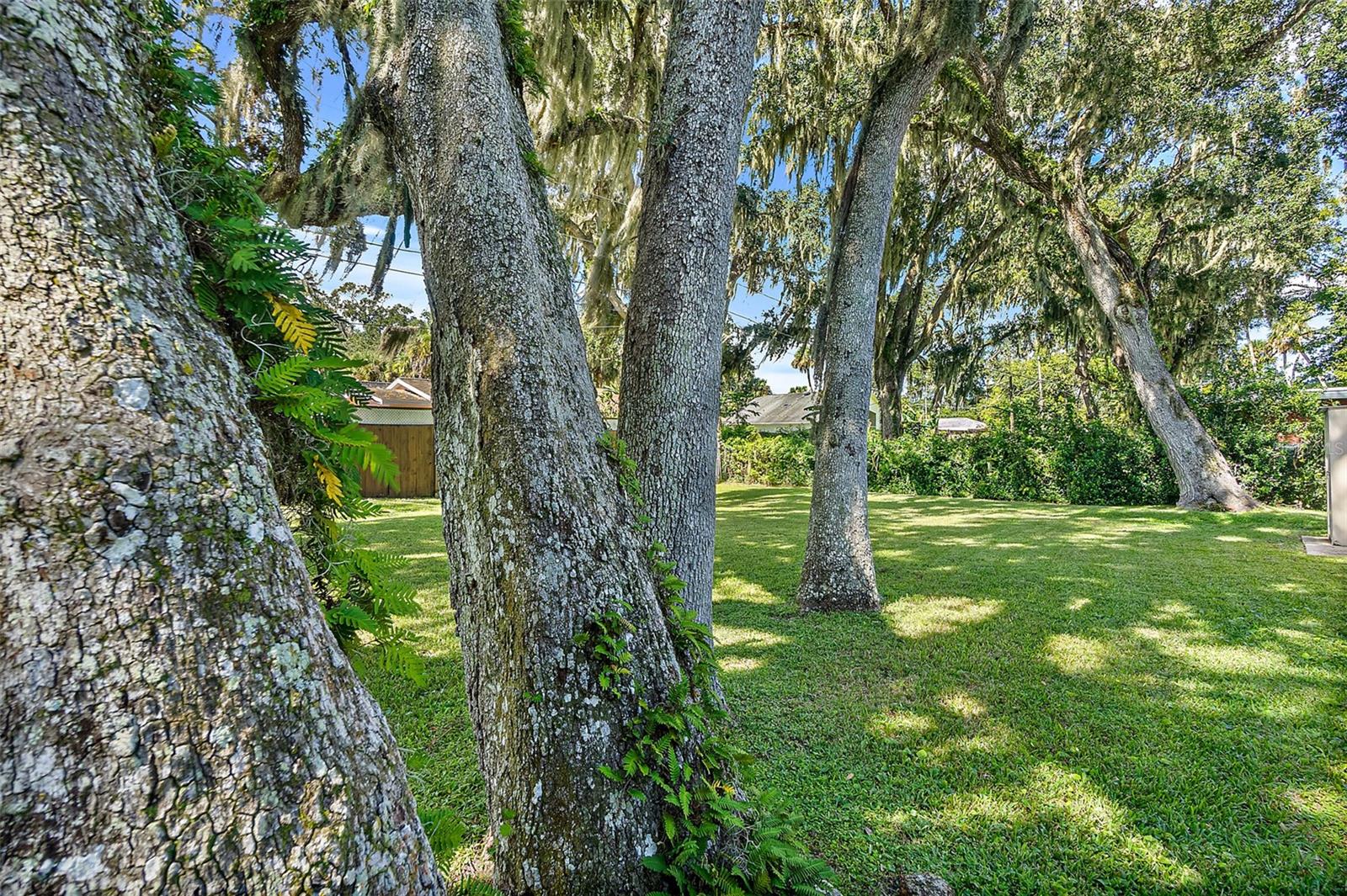 FLORIDA SHORES - Residential