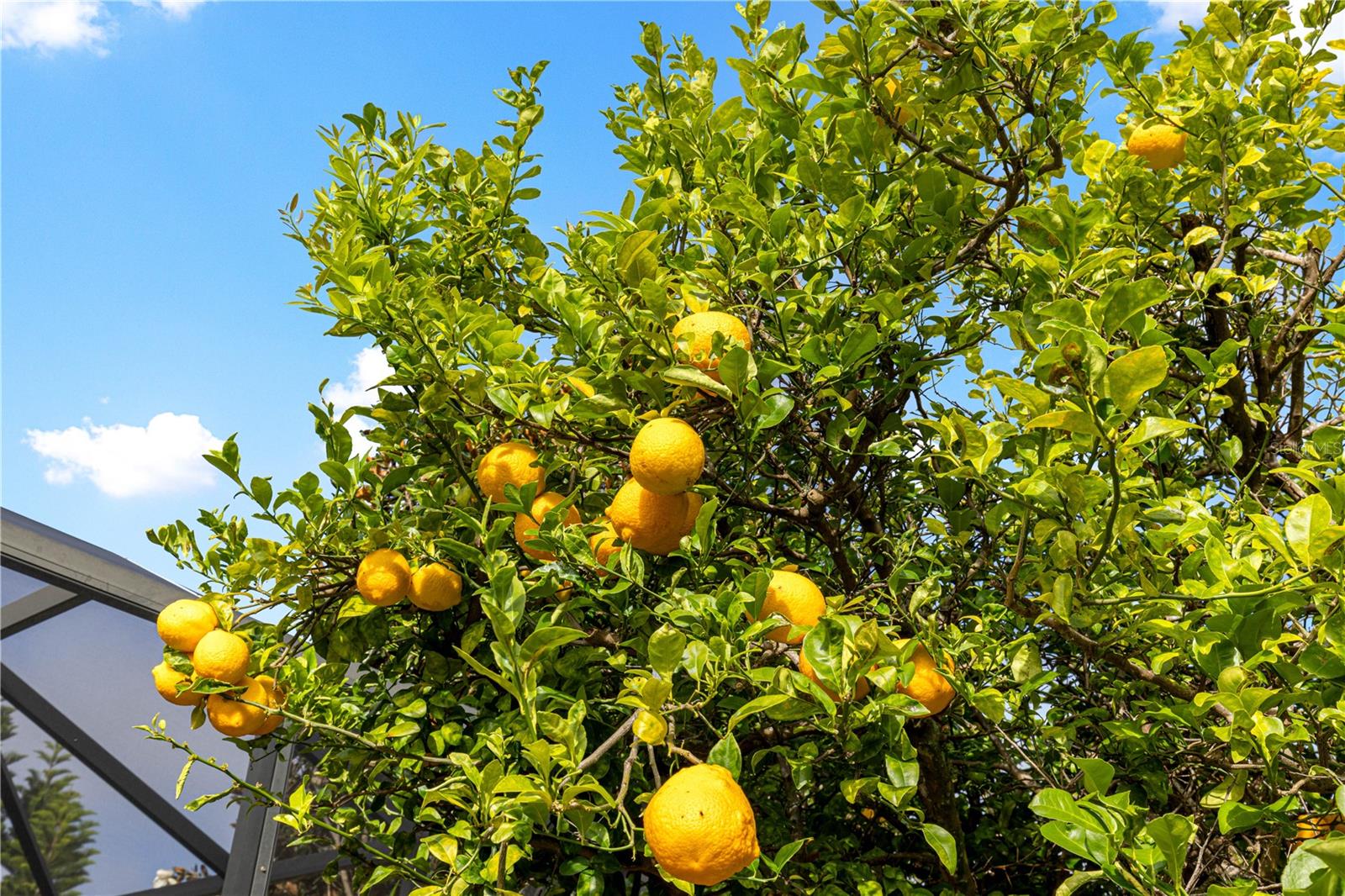 VILLAGES/SUMTER - Residential