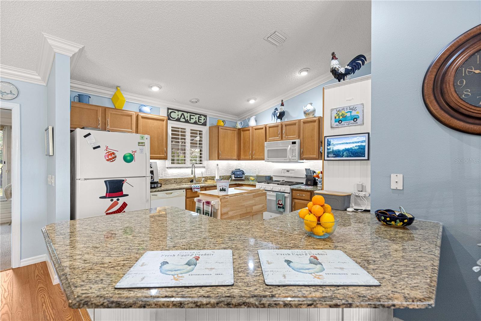 VILLAGES/SUMTER - Residential