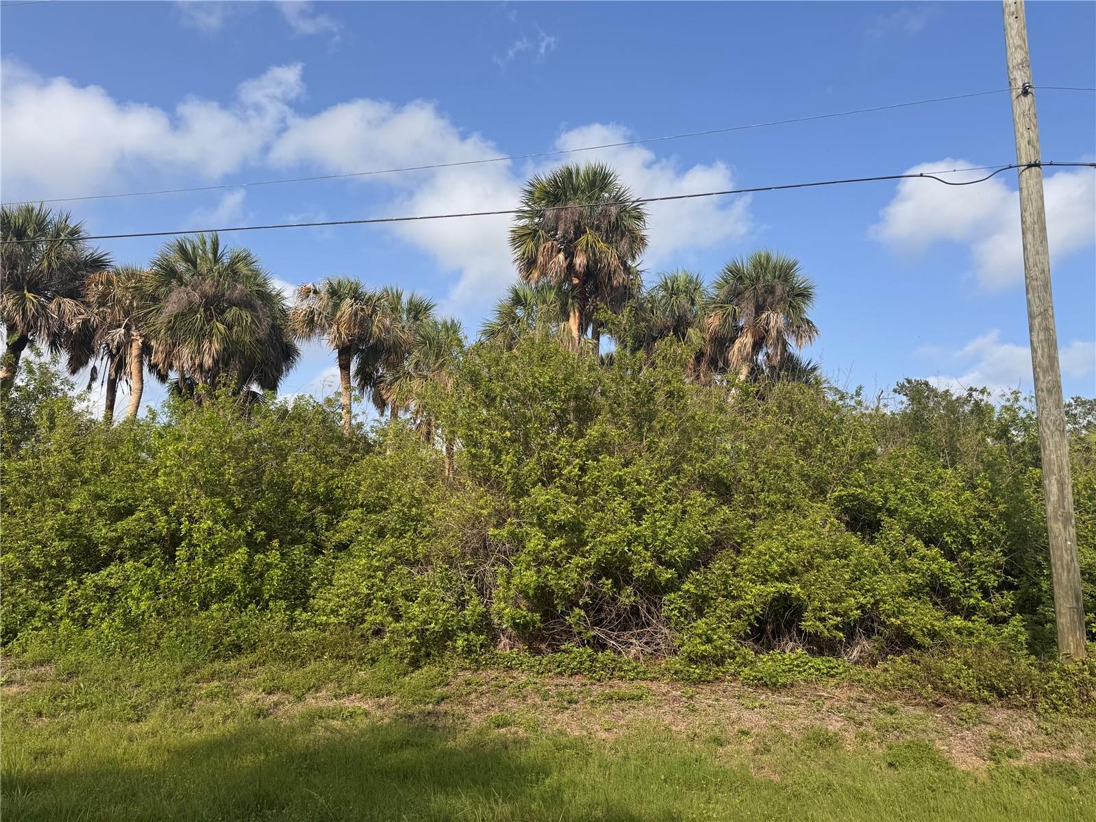 ROTONDA HEIGHTS - Land