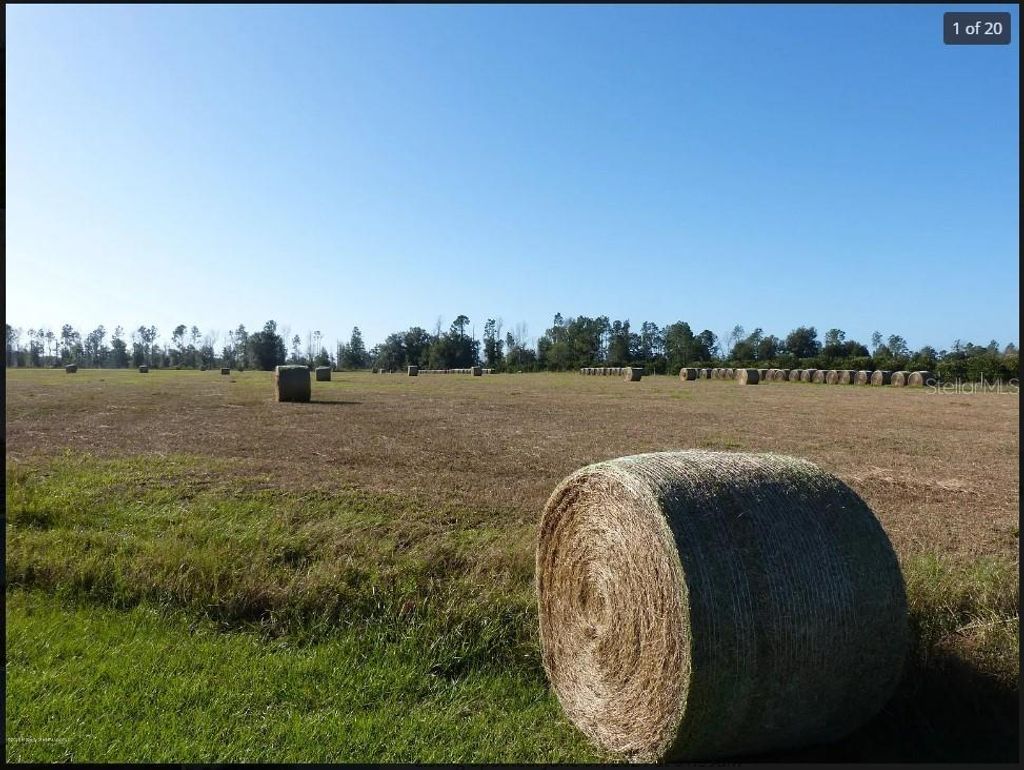 Photo of Spirit Hills, Dade City, FL 33523 (MLS # TB8361263)