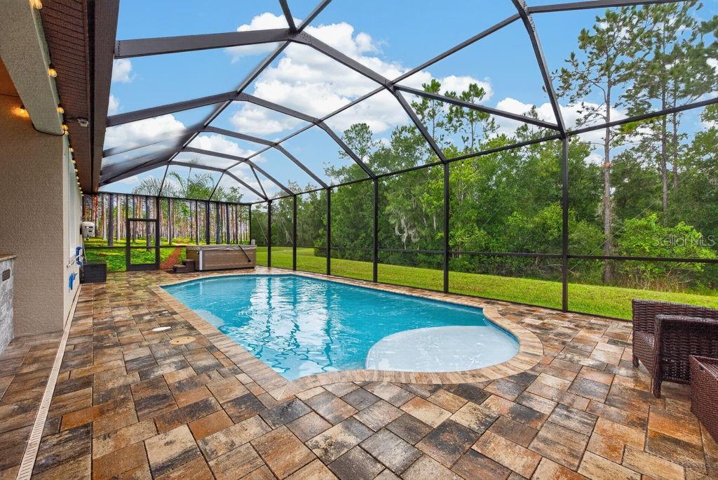 Photo of 18431 Cortes Creek Boulevard, Spring Hill, FL 34610 (MLS # TB8557354)