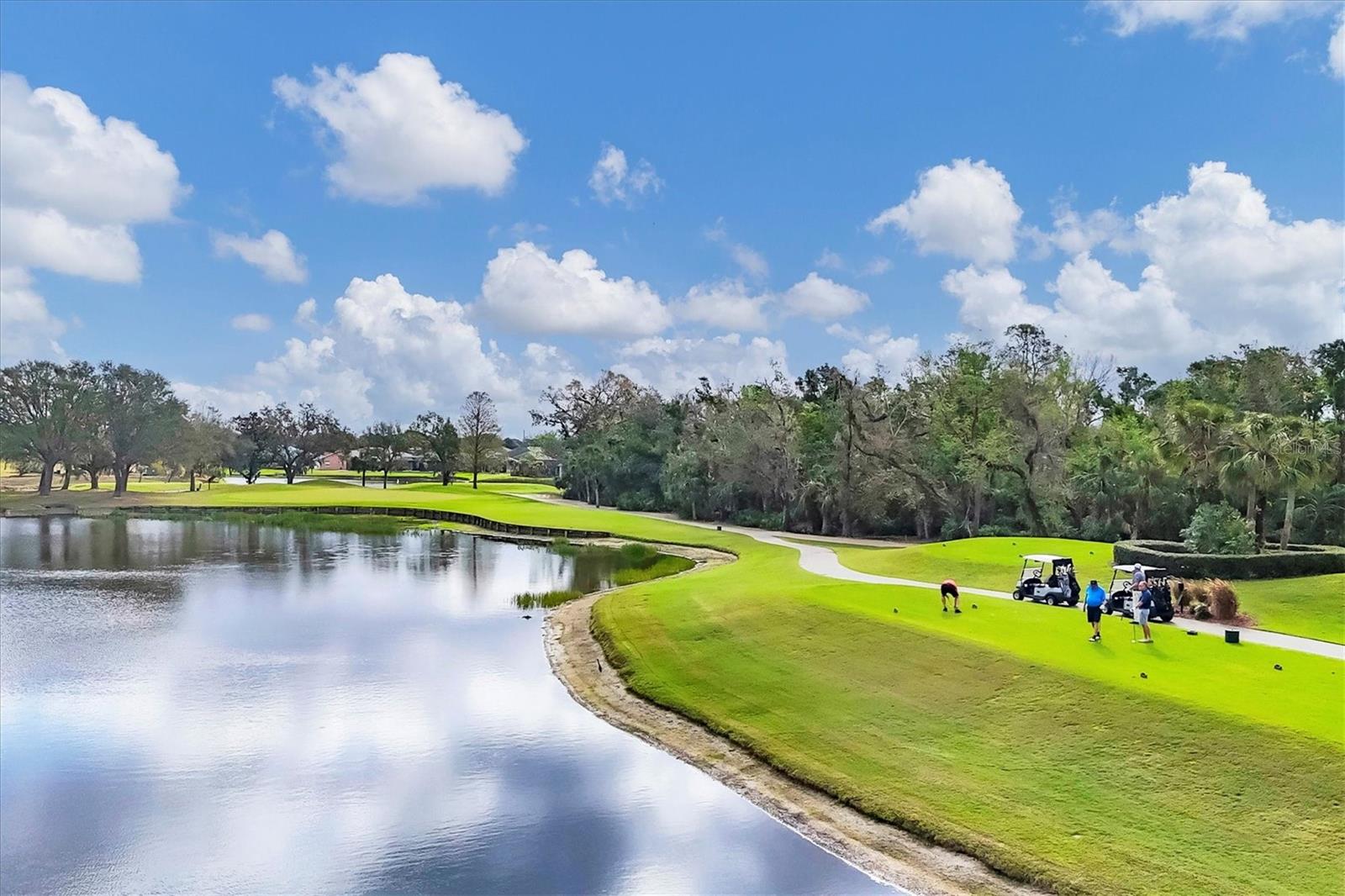 TARA GOLF AND COUNTRY CLUB - Residential