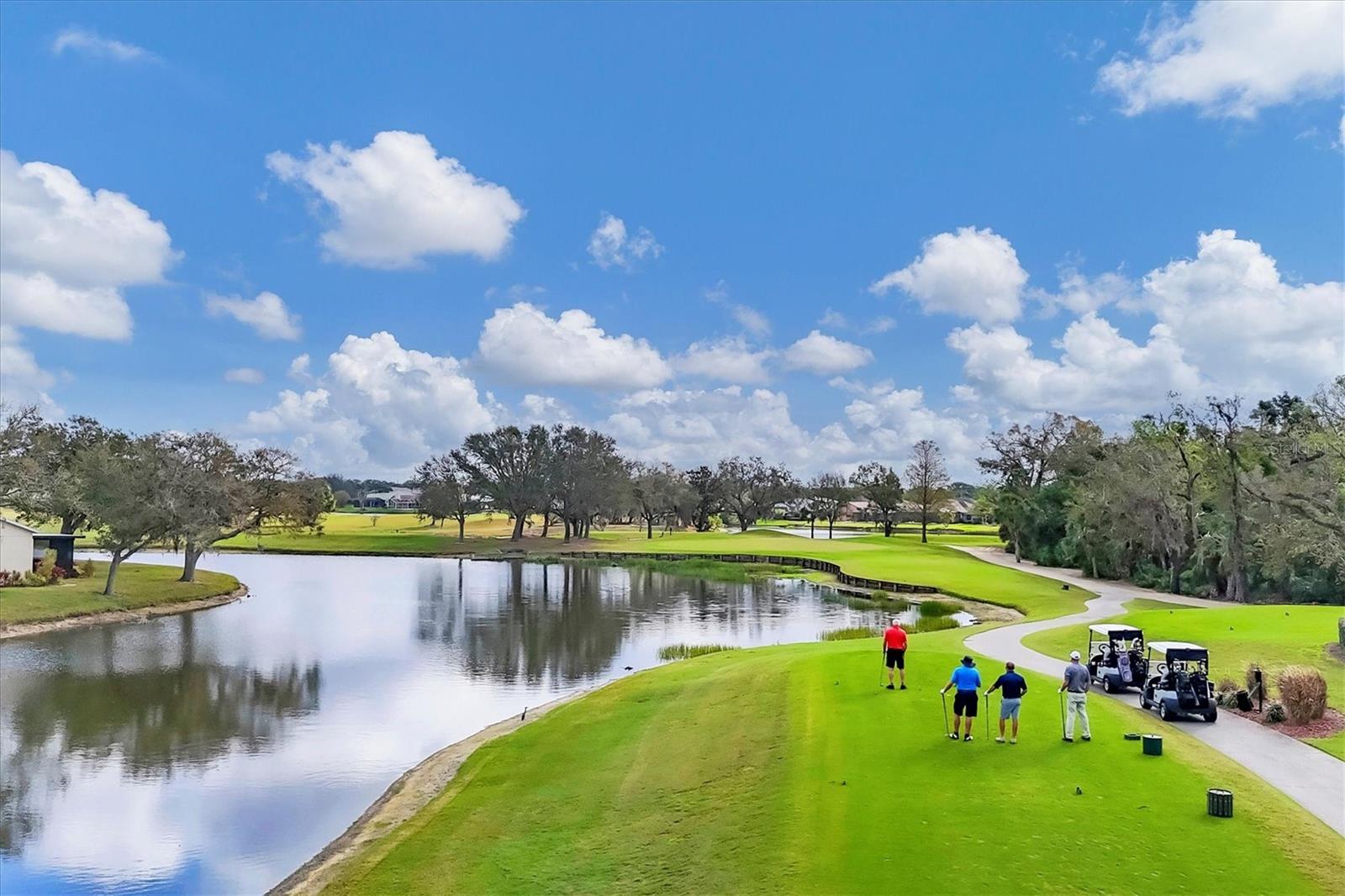 TARA GOLF AND COUNTRY CLUB - Residential